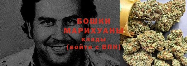шишки Армянск