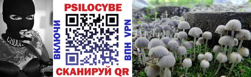 даркнет сайт  Краснознаменск  Псилоцибиновые грибы Psilocybe 